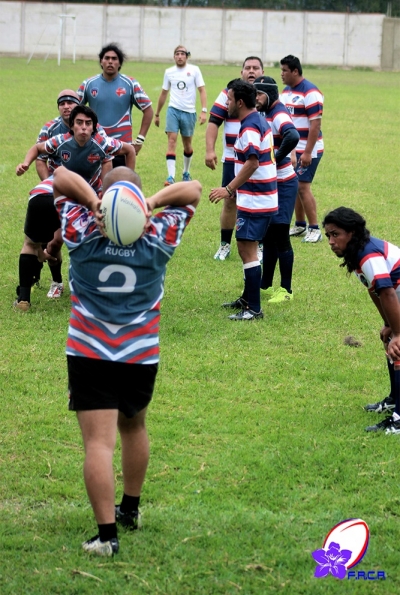 Rugby Costa Rica: Resultados